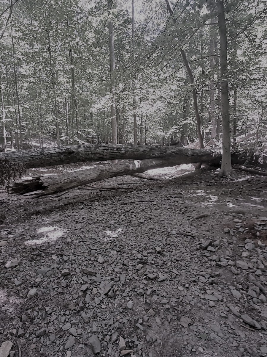 How do we keep ourselves holy in a season of&nbsp;waiting?